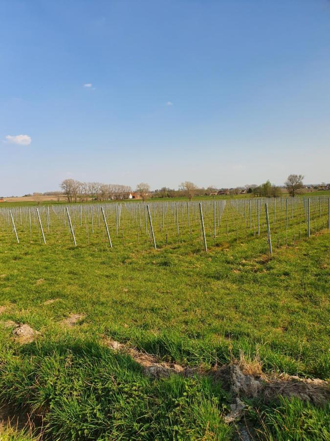B&B Kanegem Onverbloemd Tielt Exterior foto